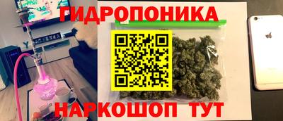 apvp Пушкино