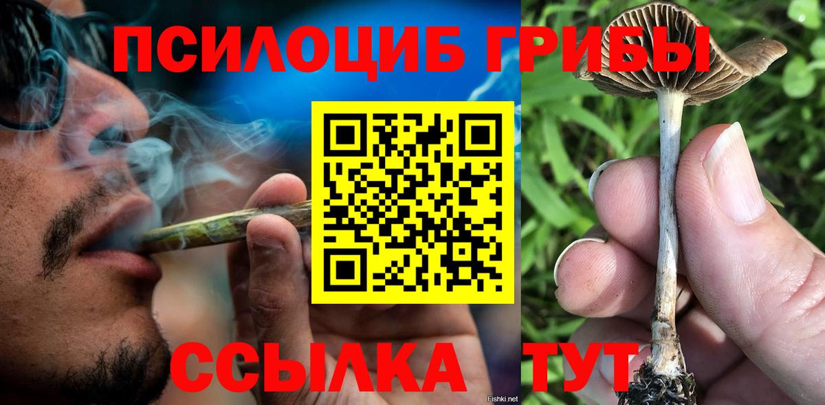 Солнечногорск  Псилоцибиновые грибы мицелий  Вход с VPN  Галлюциногенные грибы мухоморы 